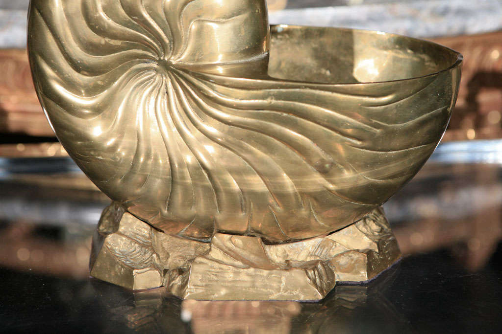 American Gigantic Solid Brass Nautilus Planter