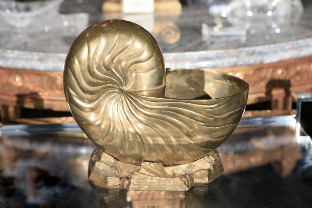 A large and impressive solid brass nautilus mounted on rocks. This is modeled on the old Victorian spoon warmers. This size is perfect for holding an orchid plant or for use by itself as a nautical sculpture. Weight is an impressive 14 lbs.