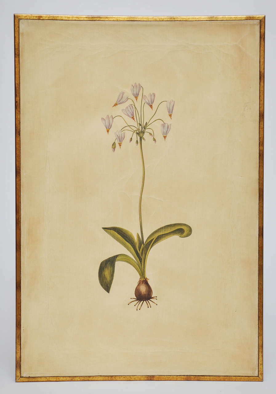 Hand Painted Botanical by Rose Tarlow Studio