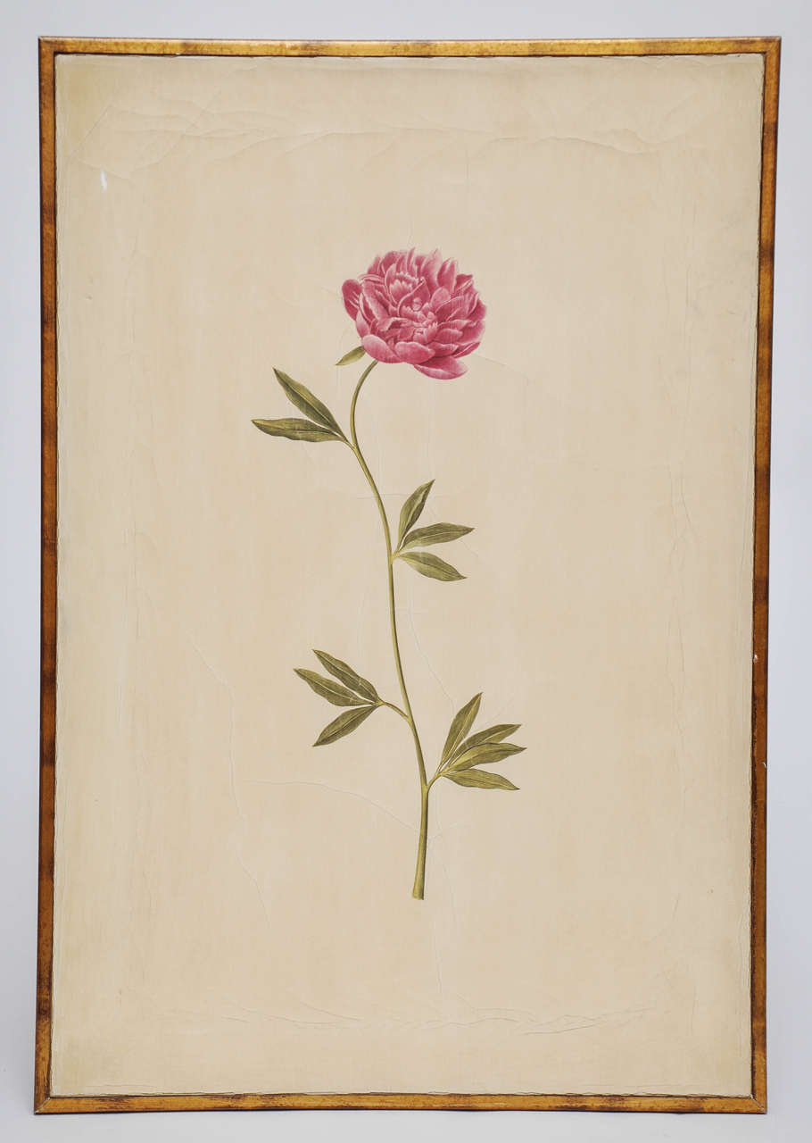 Hand Painted Botanical by Rose Tarlow