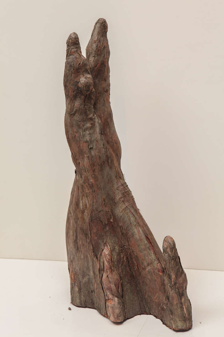 Adirondack Interesting Set of 5 Sculptural Cypress Knees, Organic Art For Sale