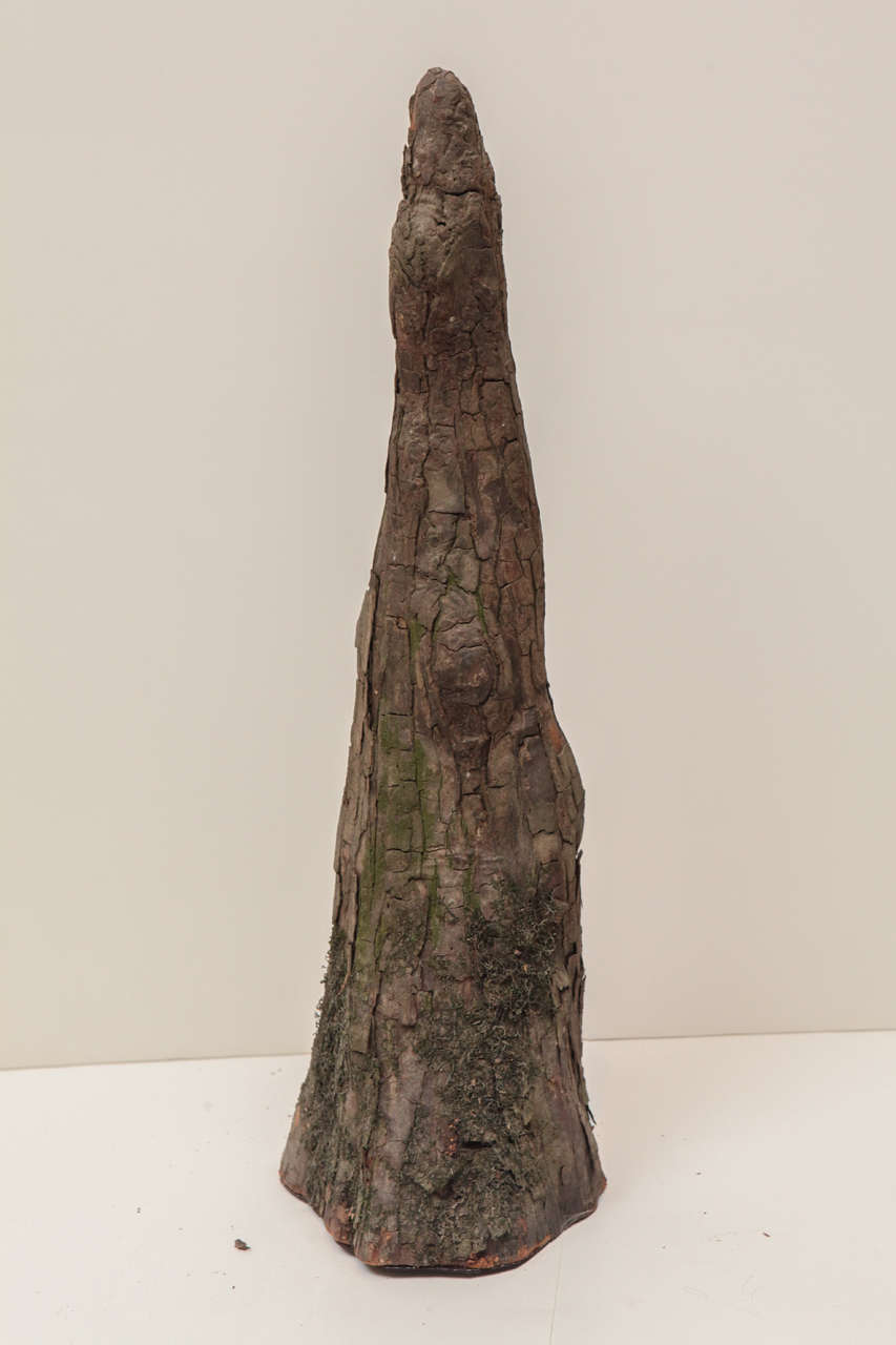Unknown Interesting Set of 5 Sculptural Cypress Knees, Organic Art For Sale