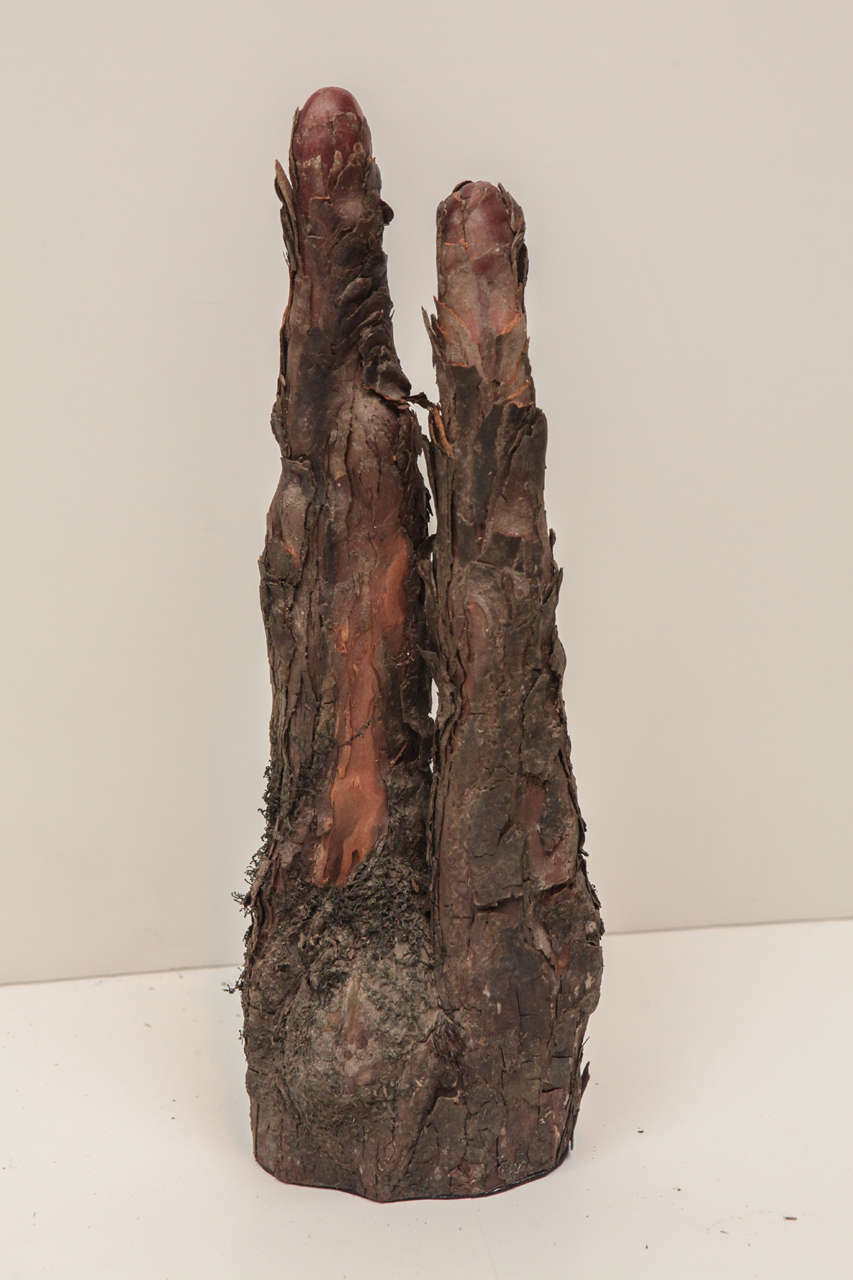 Other Interesting Set of 5 Sculptural Cypress Knees, Organic Art For Sale