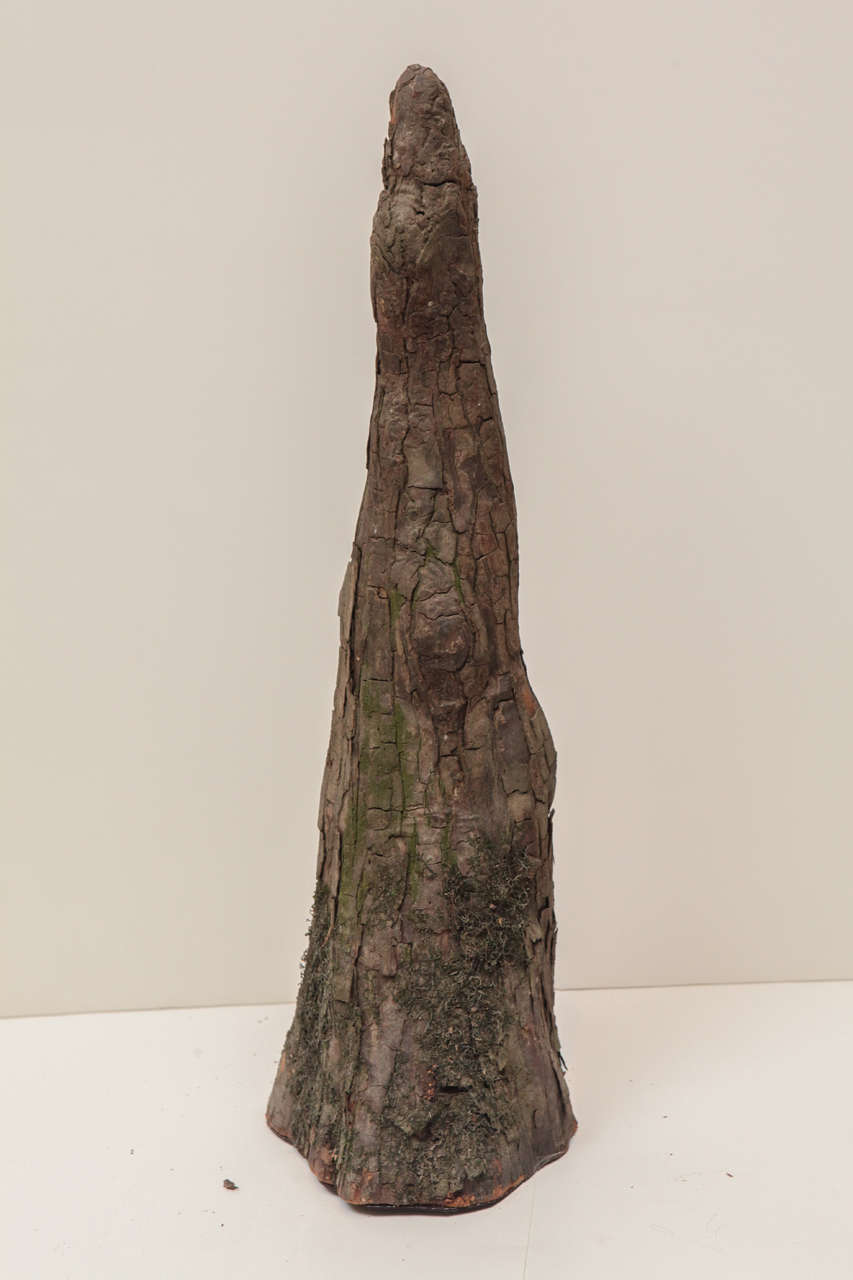 Interesting Set of 5 Sculptural Cypress Knees, Organic Art For Sale at