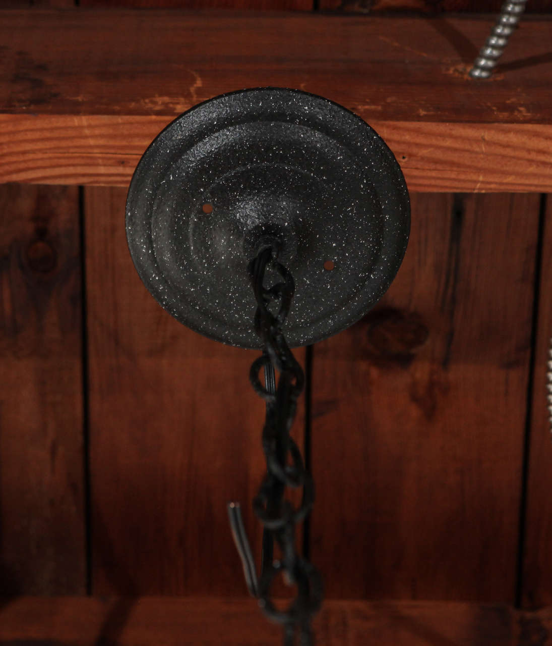 Lampadario americano in ferro con corallo finto In condizioni buone in vendita a Los Angeles, CA