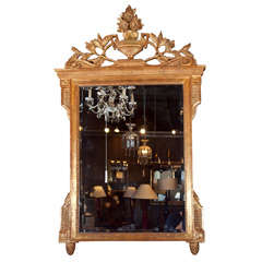 Carved and Gilded MIrror