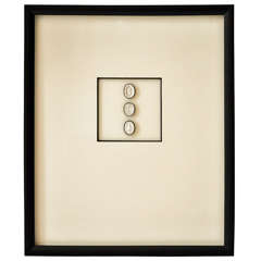 Framed Antique Intaglios Circa 1870