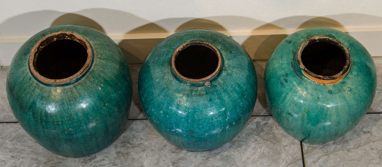19th Century Antique Chinese Ceramic Ginger Jars