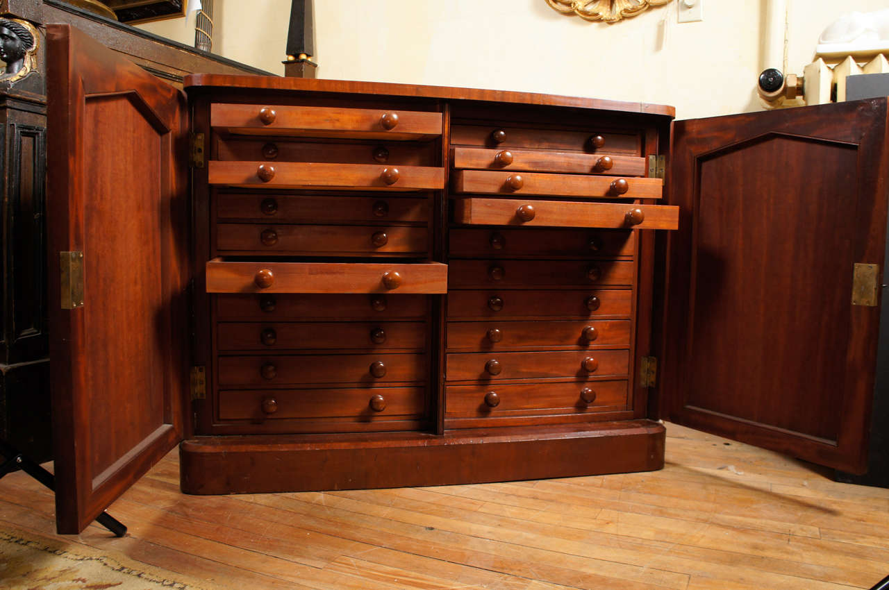 antique specimen cabinet