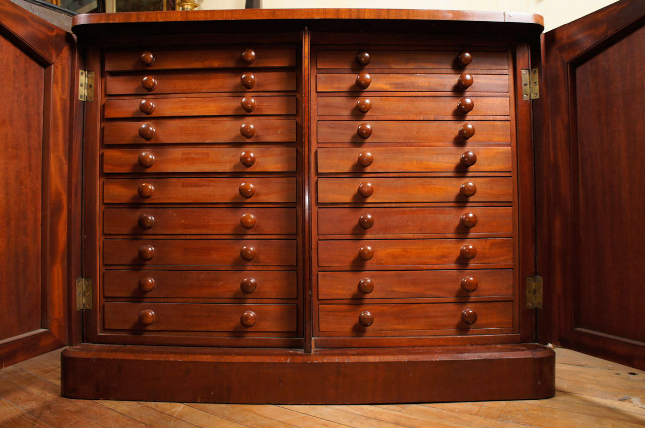 English Victorian Period Specimen Cabinet For Sale