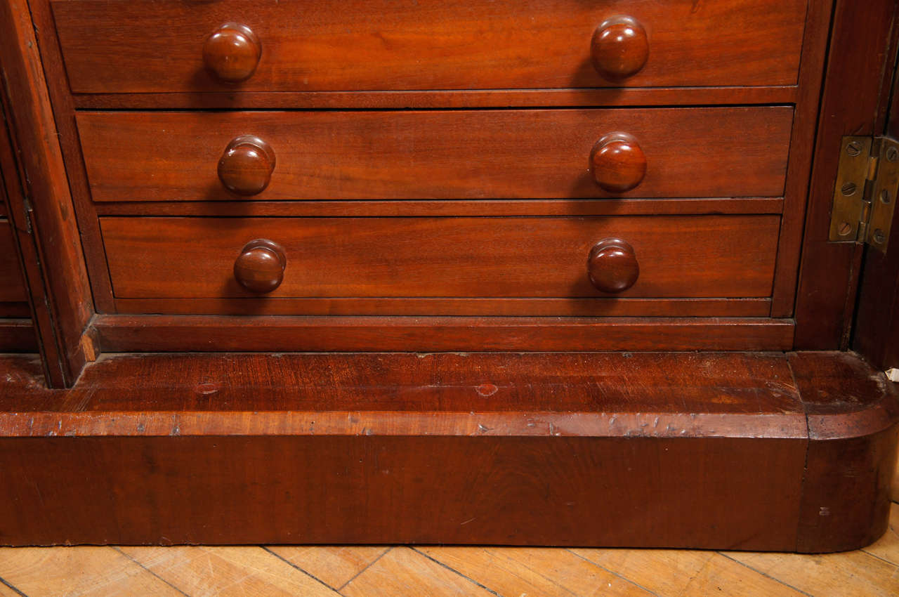 Victorian Period Specimen Cabinet In Good Condition For Sale In Hudson, NY