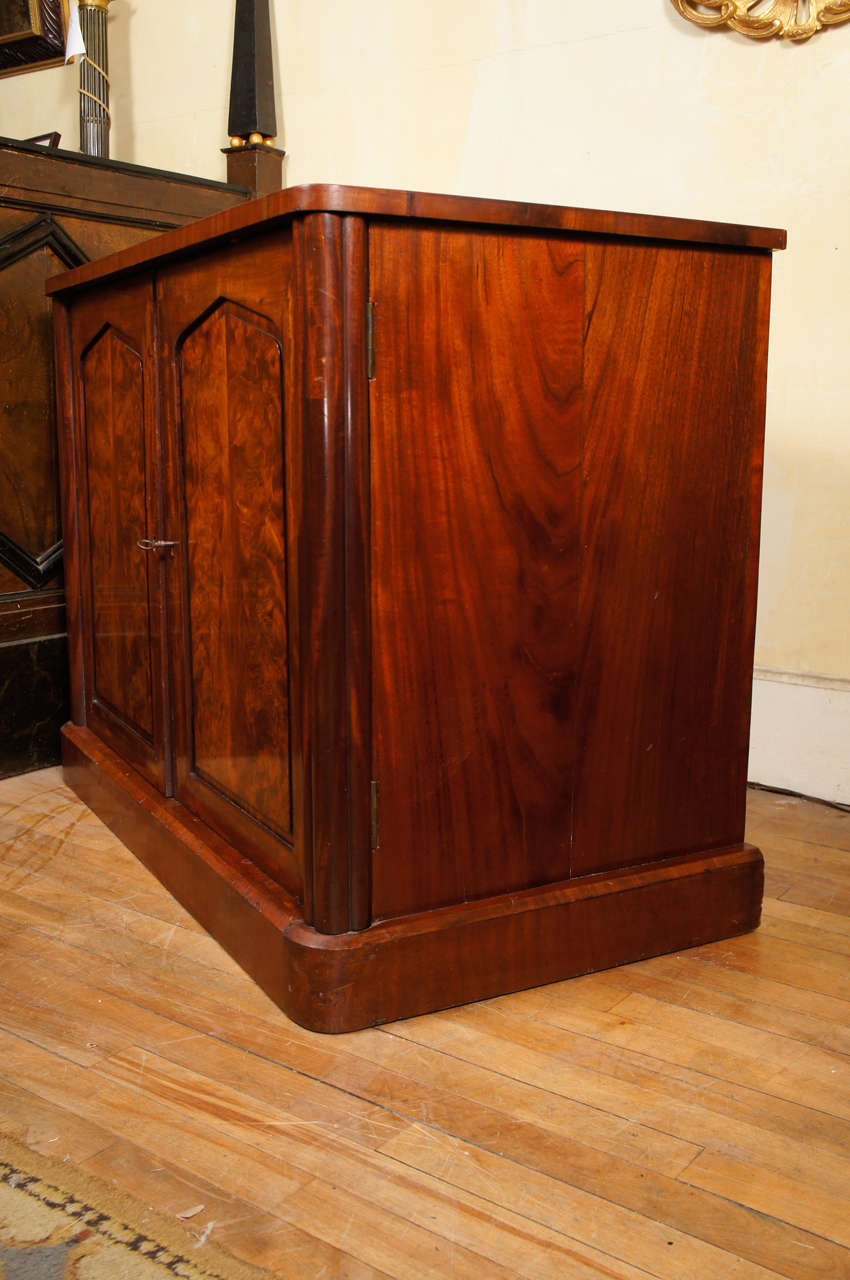 Victorian Period Specimen For Sale at 1stDibs specimen