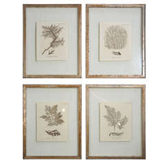 18th Century Maritime Copper Engravings 18th Century Maritime Copper Engravings