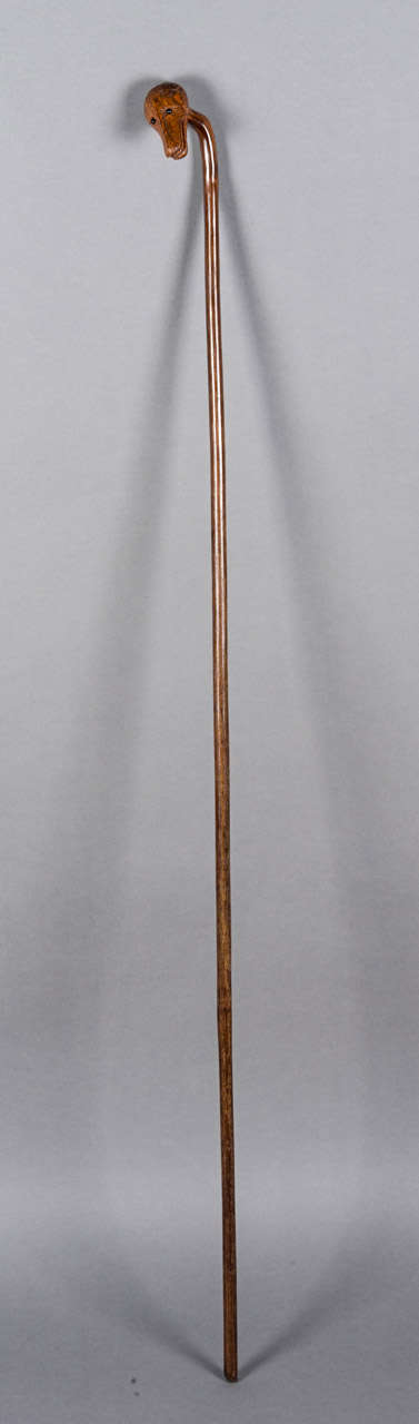Long walking stick