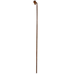 Long walking stick
