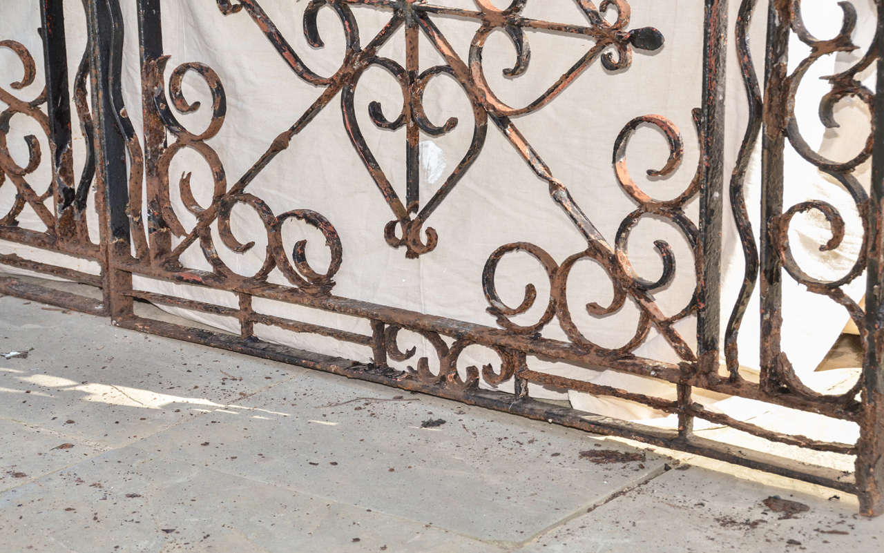 Pair of English 19th Century Wrought Iron Gates In Good Condition In Southampton, NY
