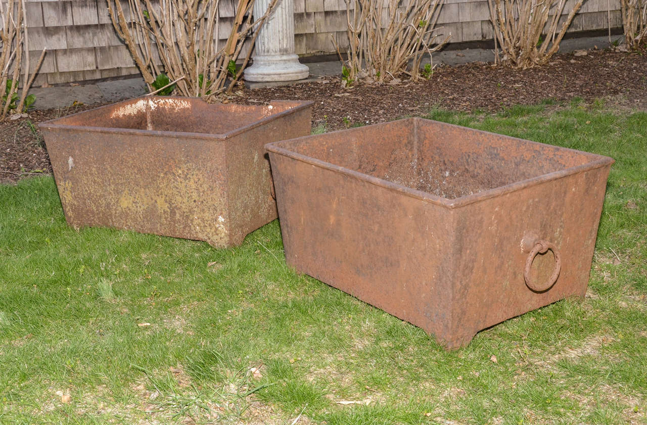 Regency English 19Th Cent. Pair Of Rectangular Ring Handled Planters For Sale