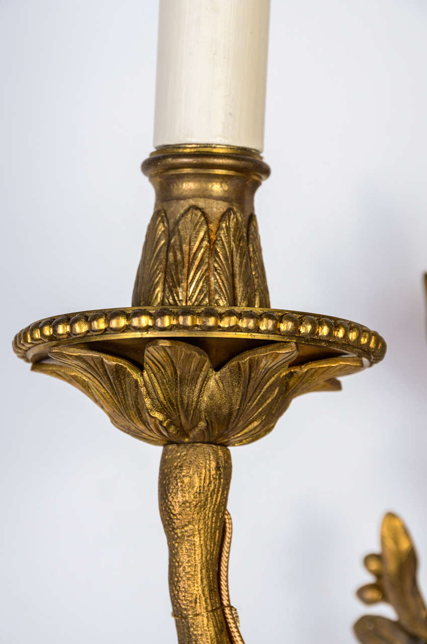 Original Set of Four 19th Century Gilded Bronze Louis XV Style Wall Sconces For Sale 2