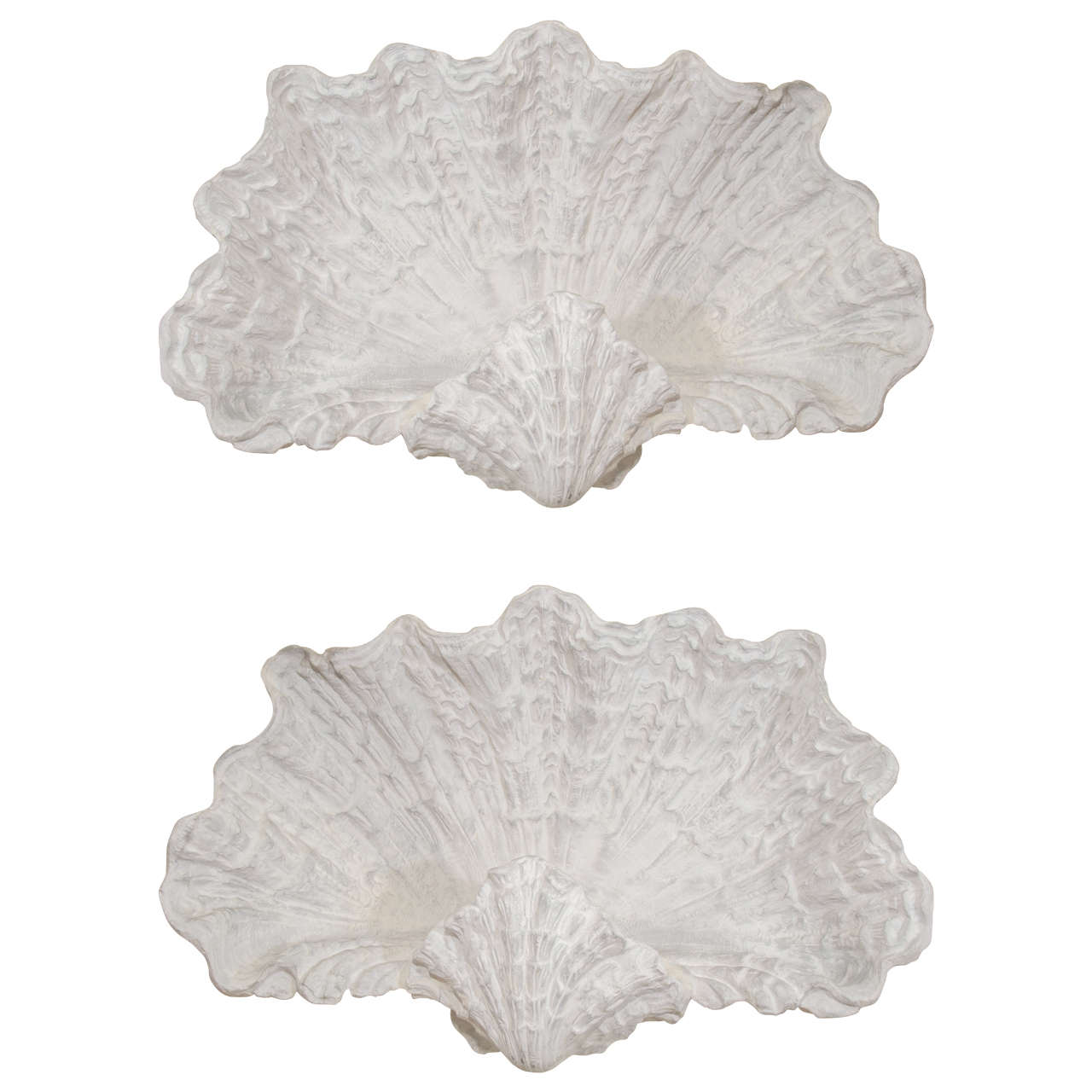Pair of Monumental Sea Shell Sconces by Serge Roche