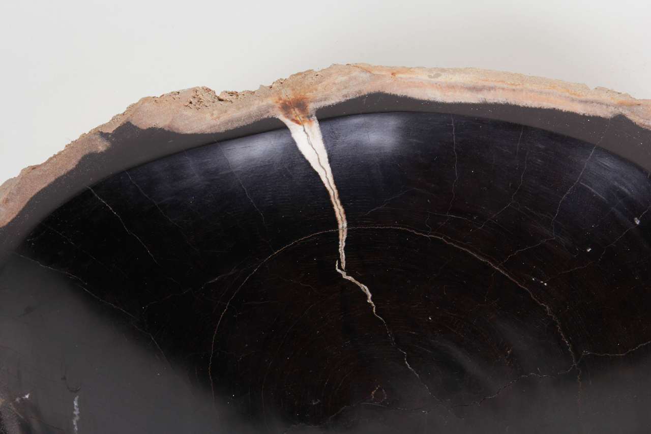 Indonesian Organic Large Petrified Wood Bowl