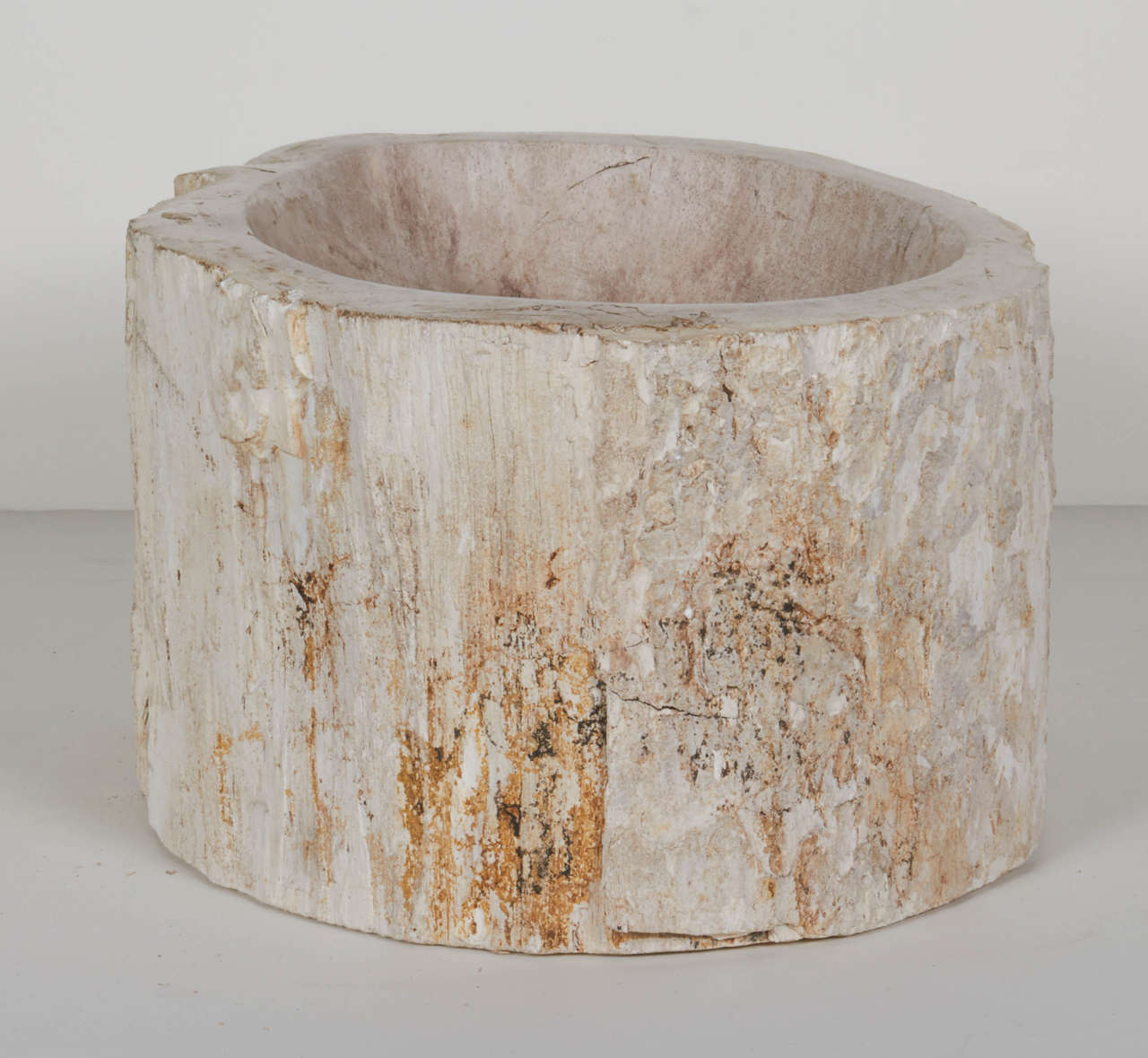Organic petrified wood large bowl or sink with amorphous form. Naturally fossilized throughout hundreds of years. These rare pieces have been hand-cut and feature the highest quality petrified wood with deep polished centres and tall sides with