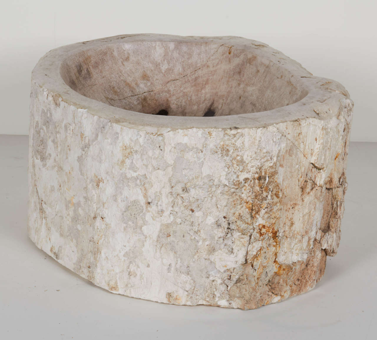 Organic Modern Petrified Wood Bowl In Excellent Condition In Fort Lauderdale, FL