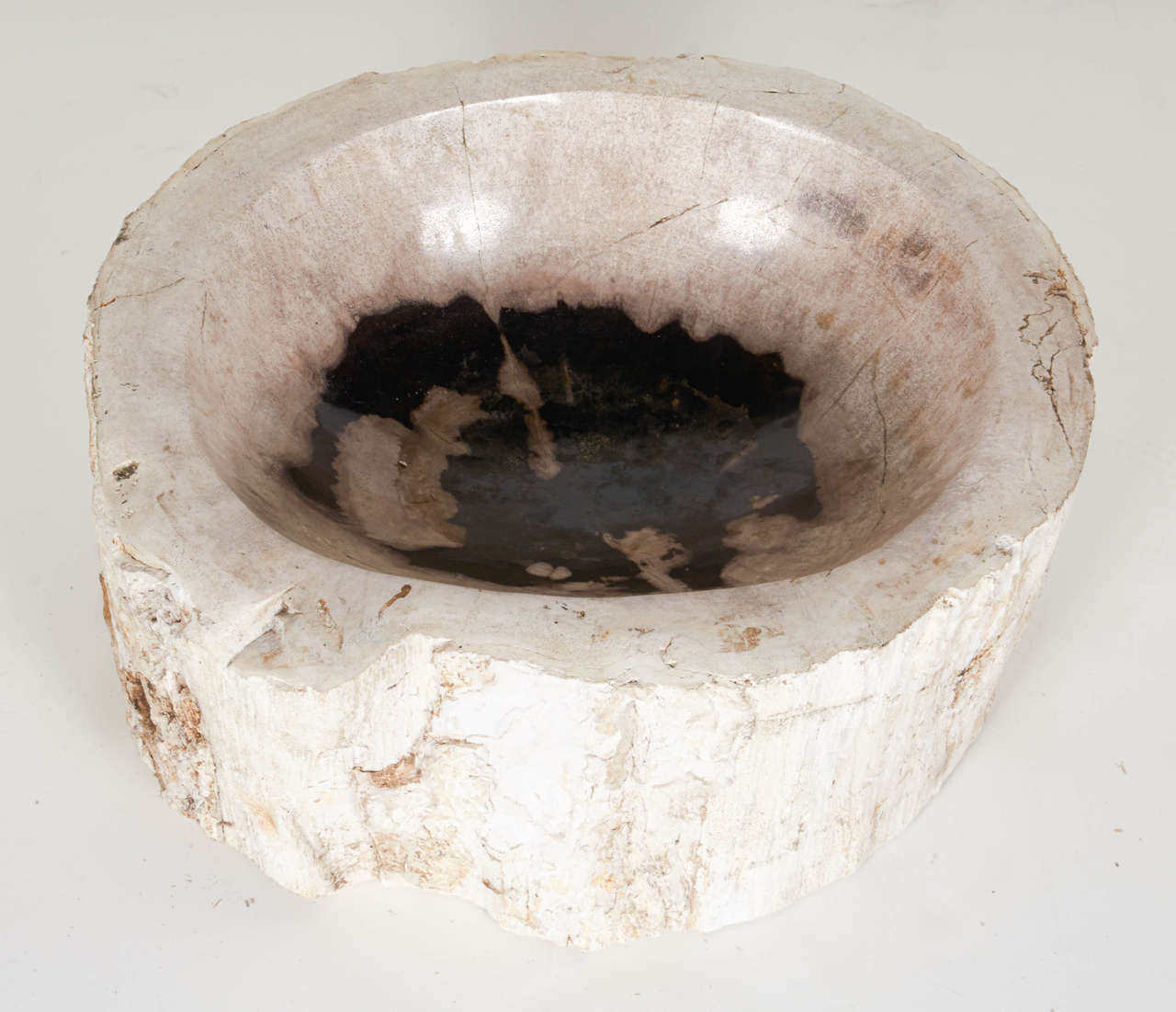 Organic Modern Petrified Wood Bowl 1