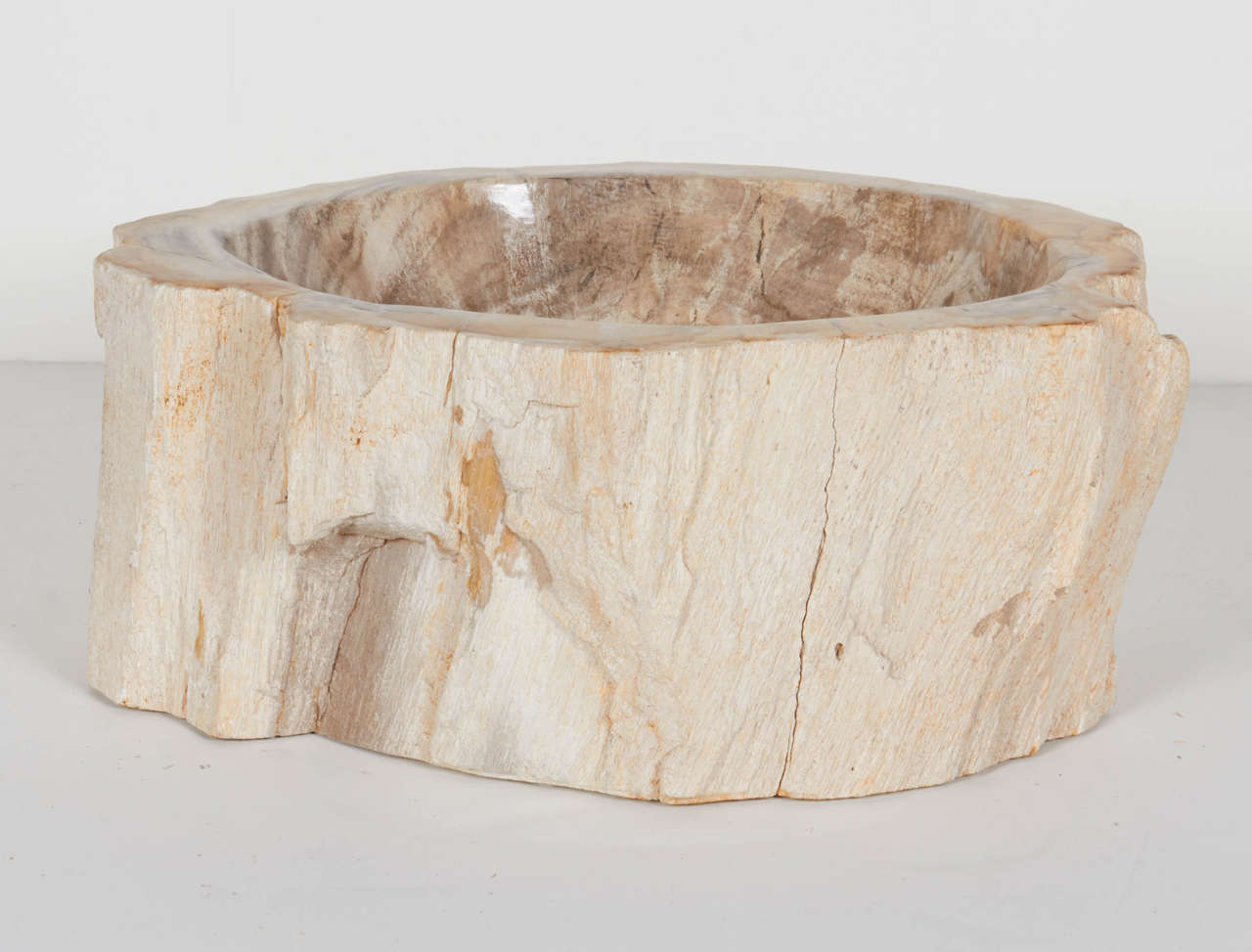 Organic Modern Rare Organic Petrified Wood Large Bowl or Sink