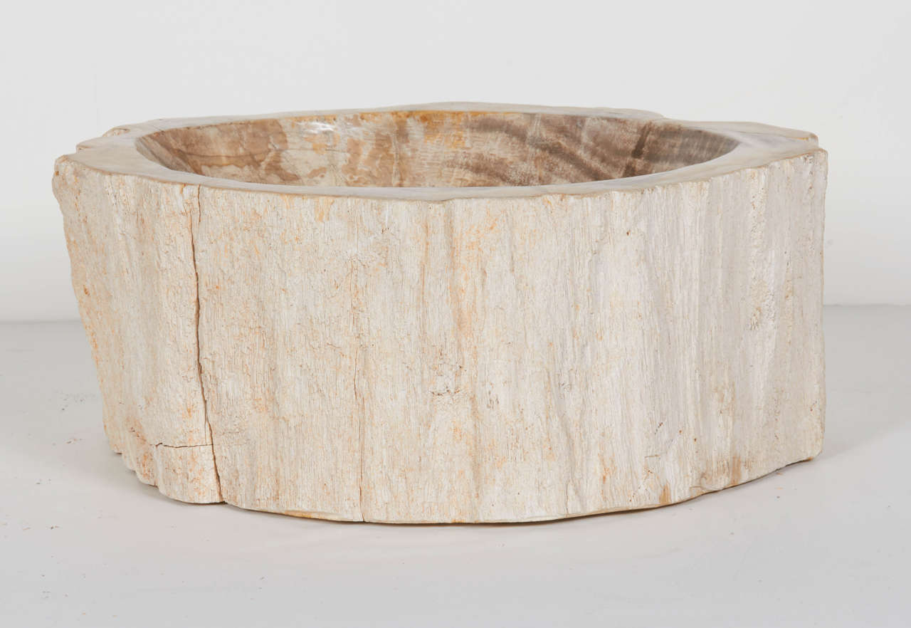 Indonesian Rare Organic Petrified Wood Large Bowl or Sink