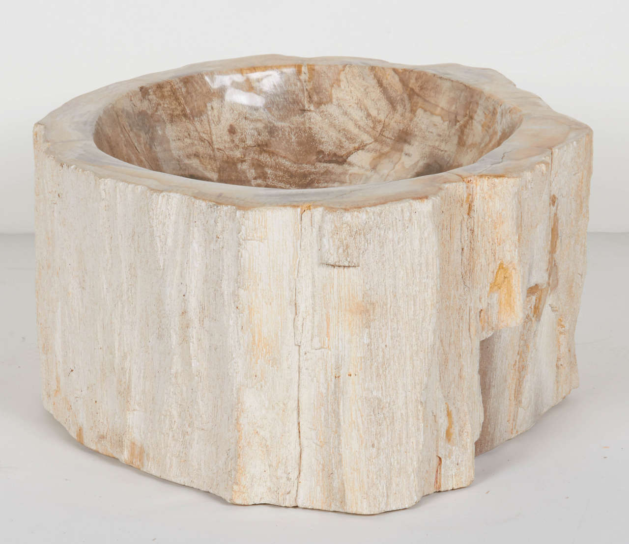 Rare Organic Petrified Wood Large Bowl or Sink In Excellent Condition In Fort Lauderdale, FL