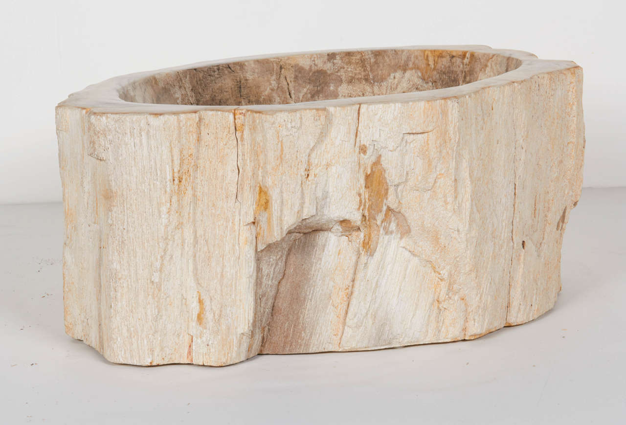 Rare Organic Petrified Wood Large Bowl or Sink 1