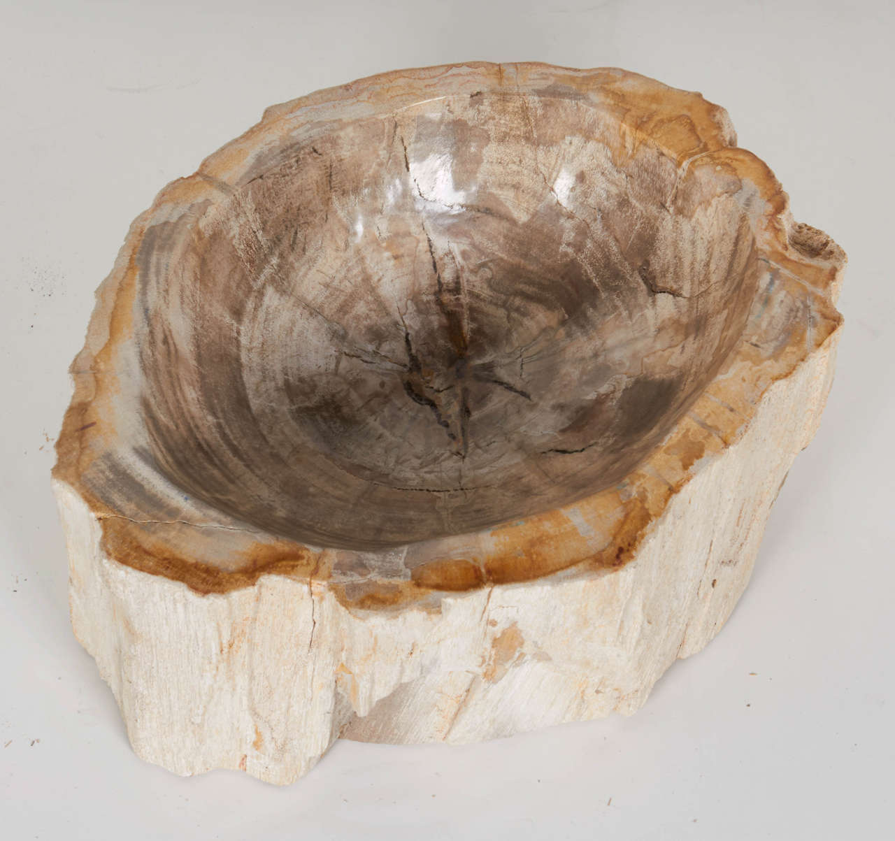 Rare Organic Petrified Wood Large Bowl or Sink 2