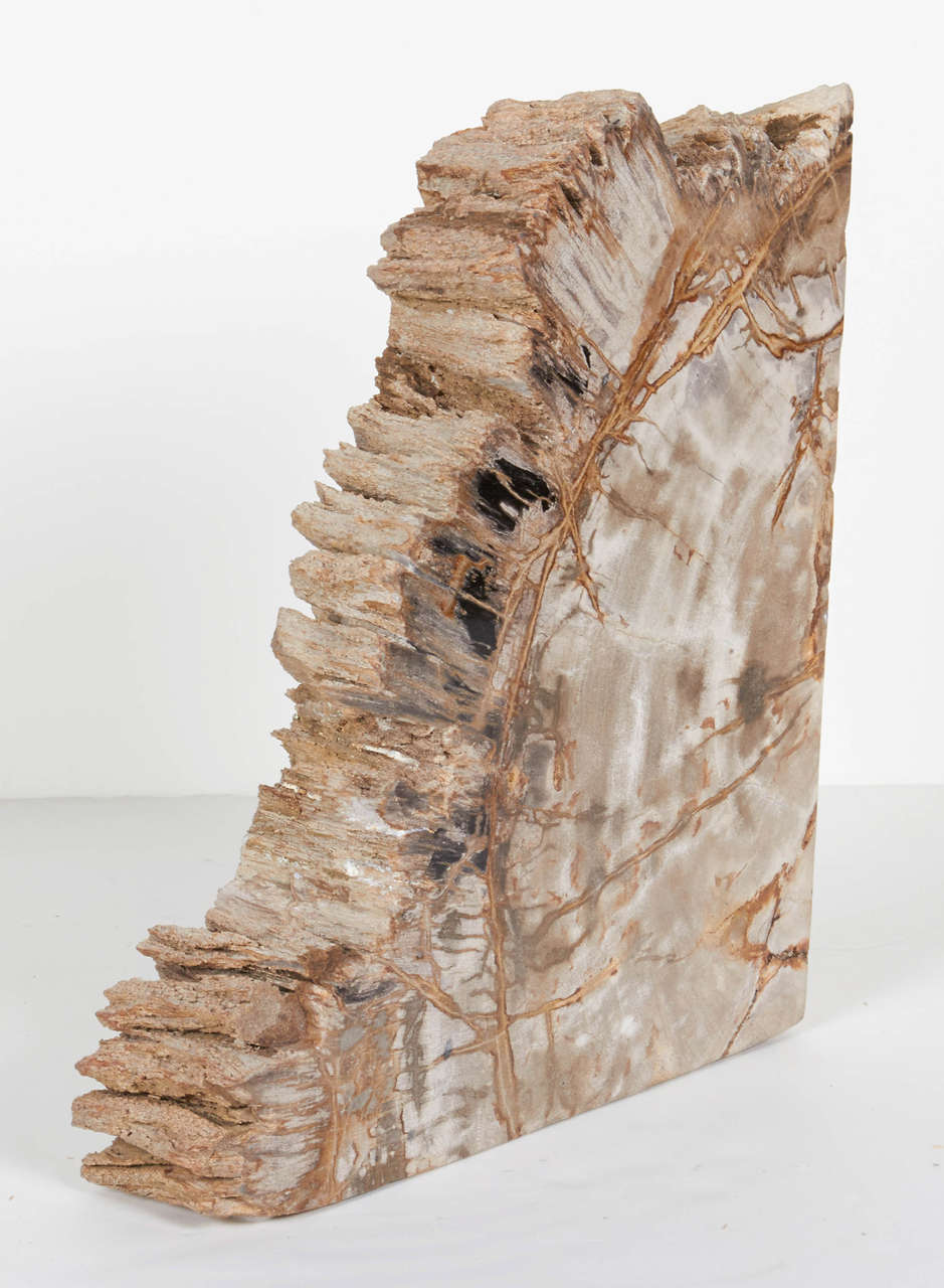 Organic Modern Pair of Remarkable Petrified Wood Bookends with Natural Jagged Edges