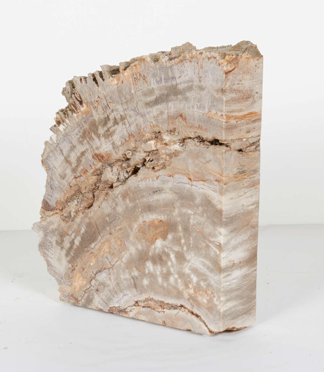 Indonesian Pair of Remarkable Petrified Wood Bookends with Natural Jagged Edges