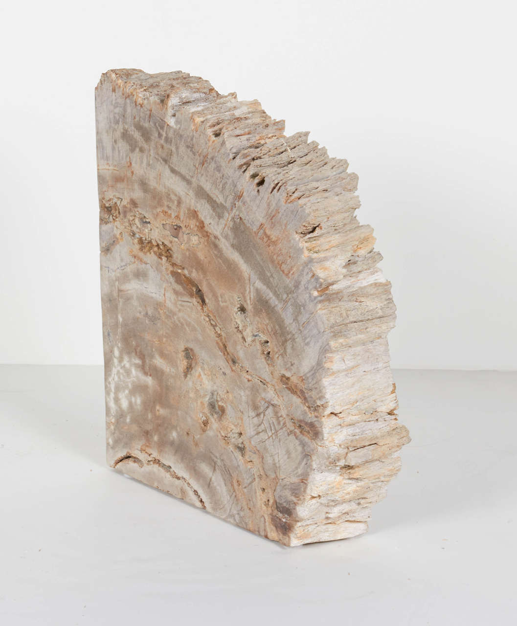 Polished Pair of Remarkable Petrified Wood Bookends with Natural Jagged Edges