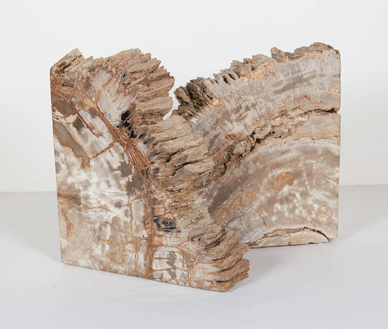 19th Century Pair of Remarkable Petrified Wood Bookends with Natural Jagged Edges