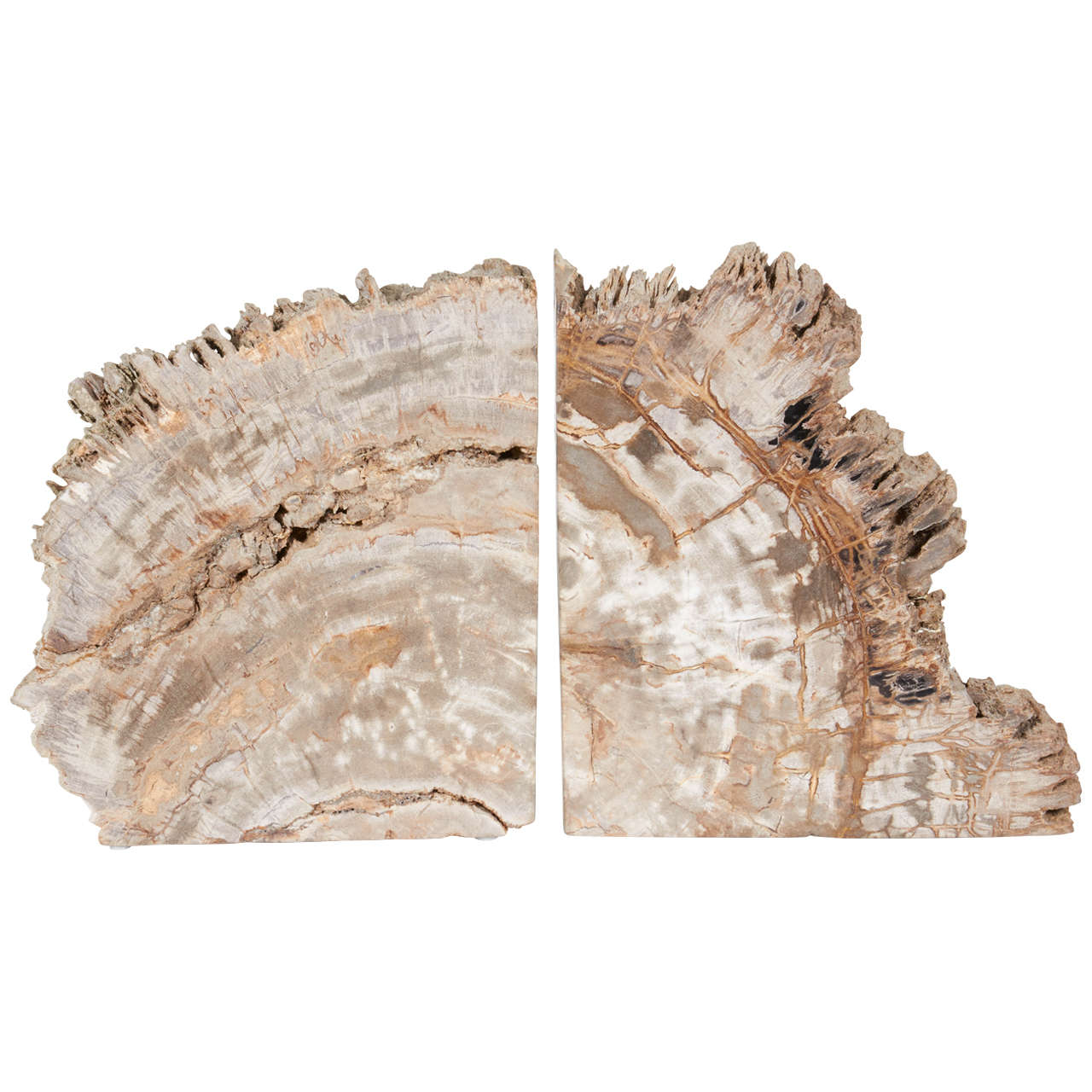 Pair of Remarkable Petrified Wood Bookends with Natural Jagged Edges