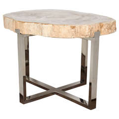 Petrified Wood Slab Coffee Table or Side Table