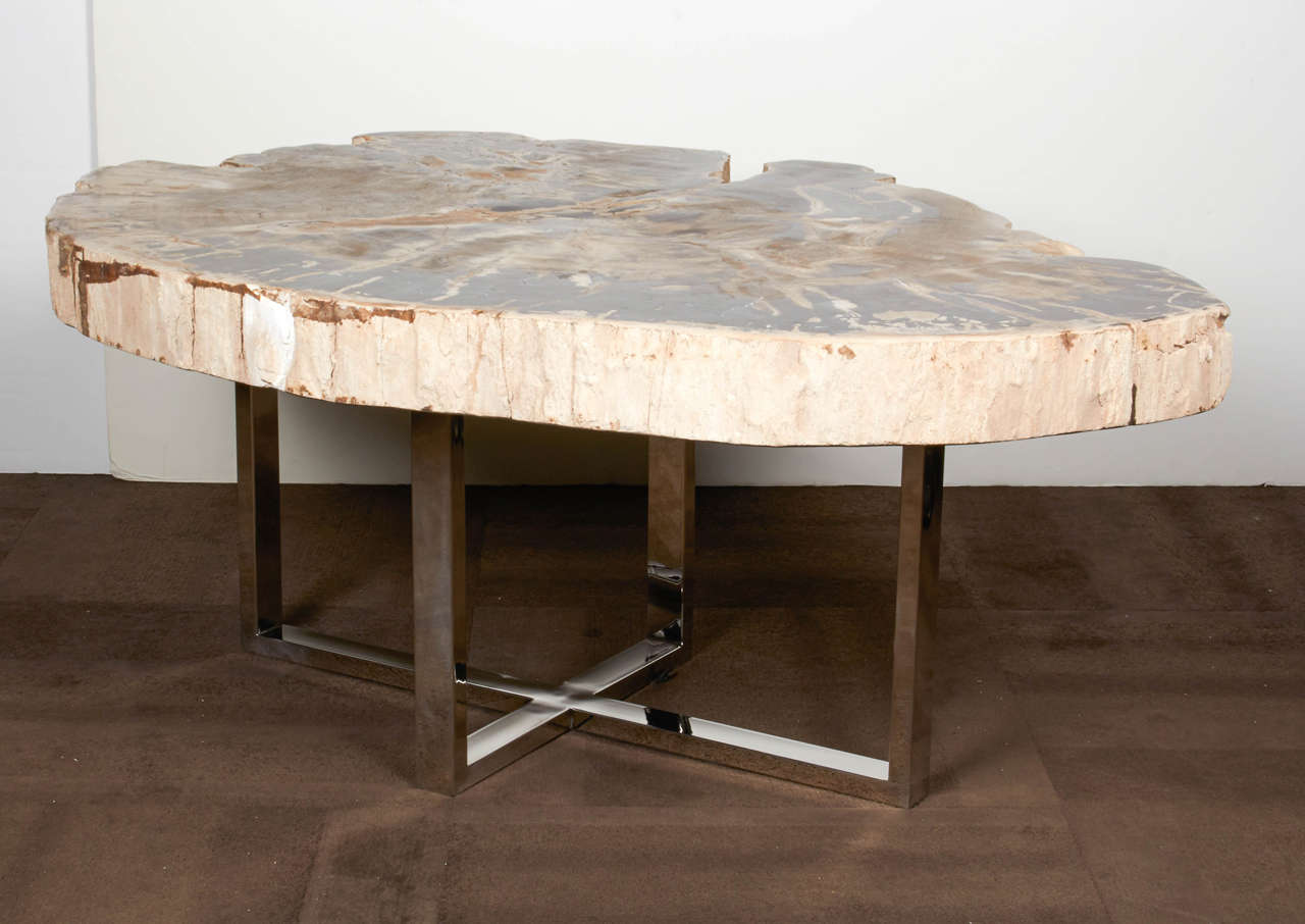 Exquisite large-scale coffee table comprised of a solid slab of petrified wood. Naturally fossilized throughout hundreds of years. This rare piece has been hand cut and features the highest quality petrified wood with a polished top and natural raw