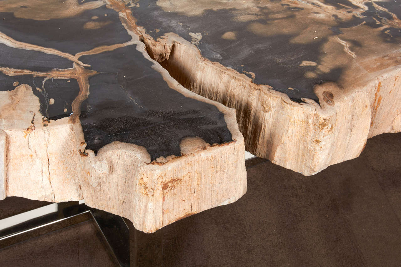 petrified wood slab table