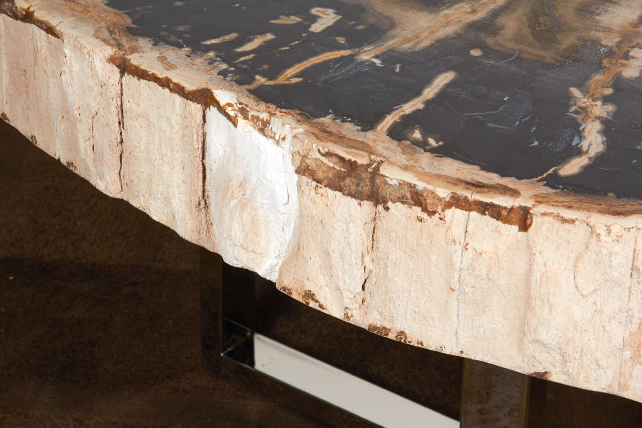 18th Century and Earlier Outstanding Large Petrified Wood Slab Coffee Table