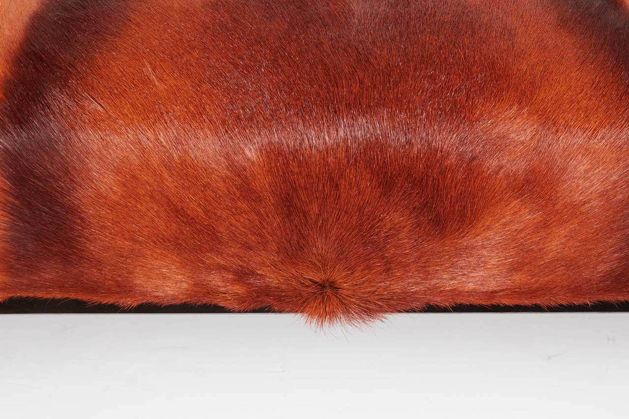 Fur Mid-Century Style African Springbok Bench in Vibrant Burnt-Orange