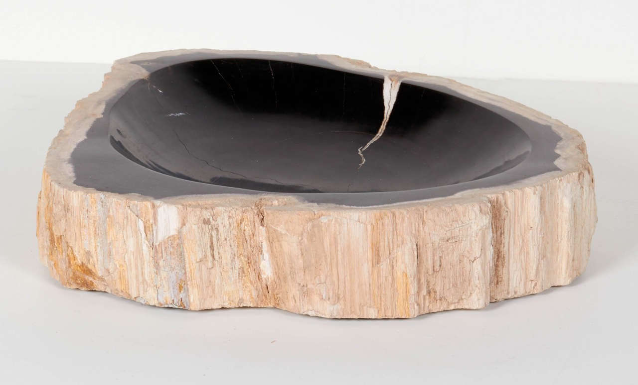Organic Large Petrified Wood Bowl at 1stDibs