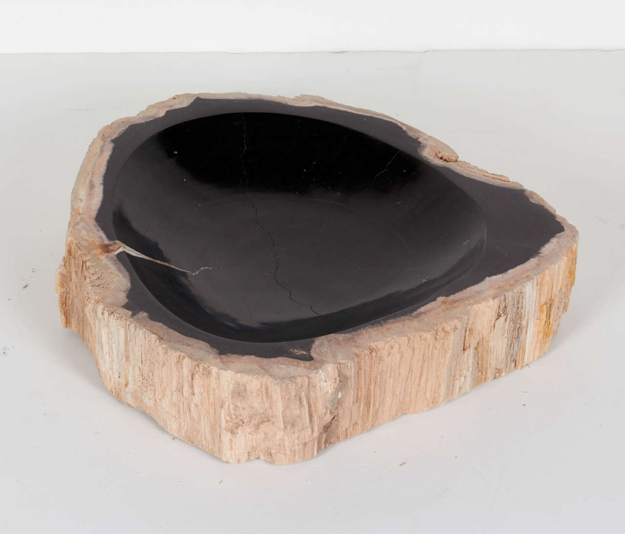 Organic Large Petrified Wood Bowl at 1stDibs