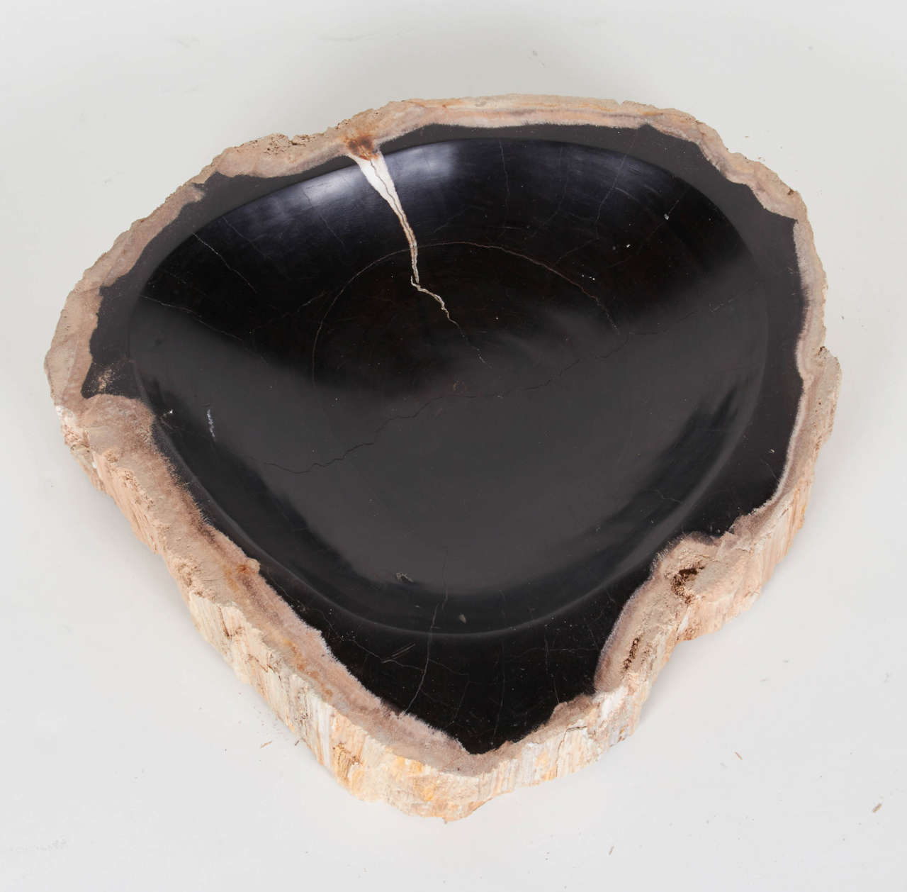 Organic Large Petrified Wood Bowl at 1stDibs