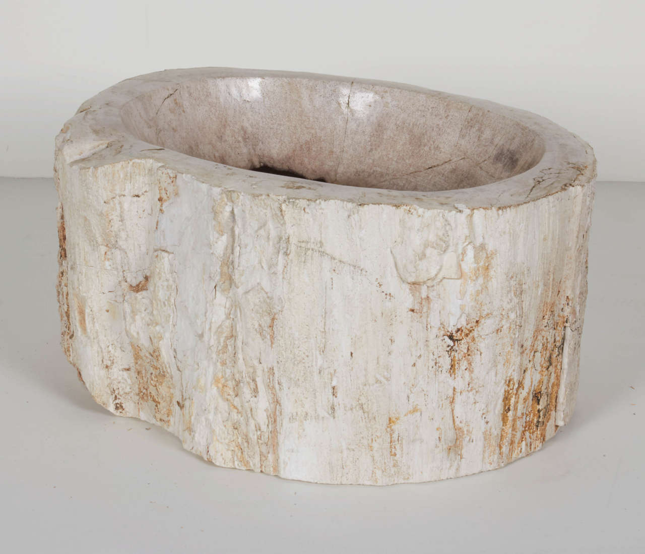 Organic Modern Petrified Wood Bowl at 1stdibs