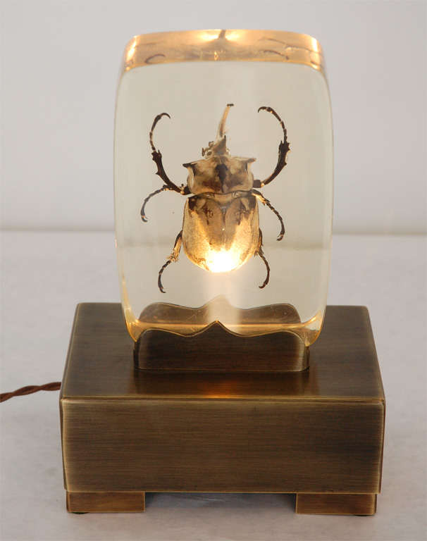 Near Pair of Cast Resin Scarab Accent Lamps 4
