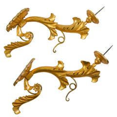 Pair of Italian Gilded Wood Sconces