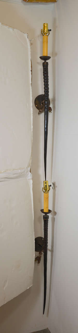 Gemsbuck Horn Sconces