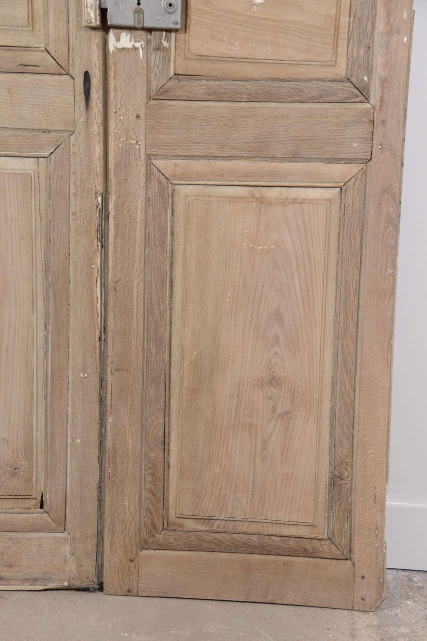 Pair of 18th Century French Interior Doors 3